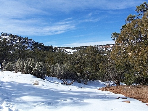 Navajo National Monument
