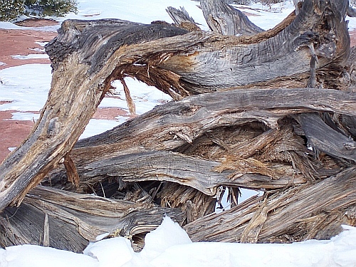 100_2649.jpg