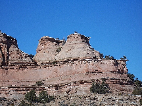 100_2717.jpg