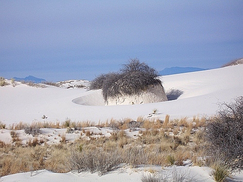 100_2989.jpg