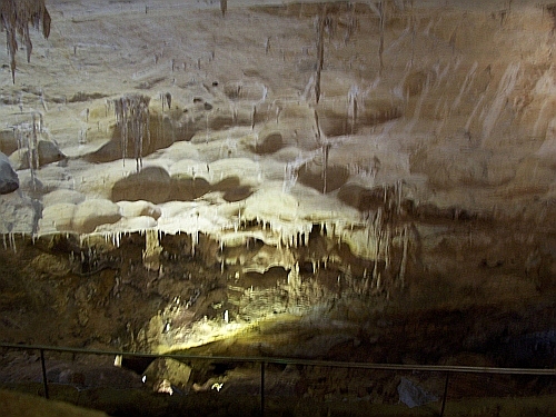 100_3055.jpg