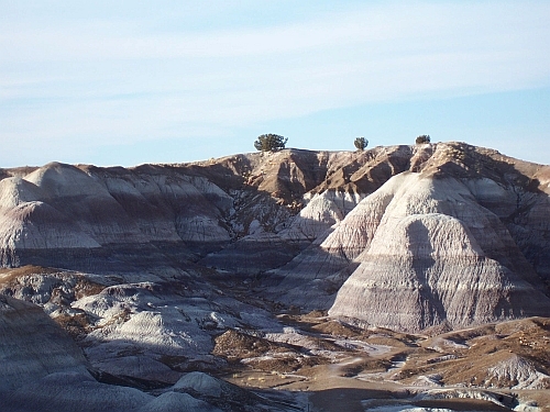 Blue Mesa

