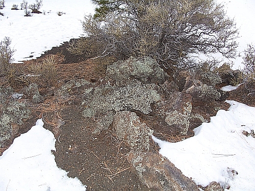 Sunset Crater Volcano NM
