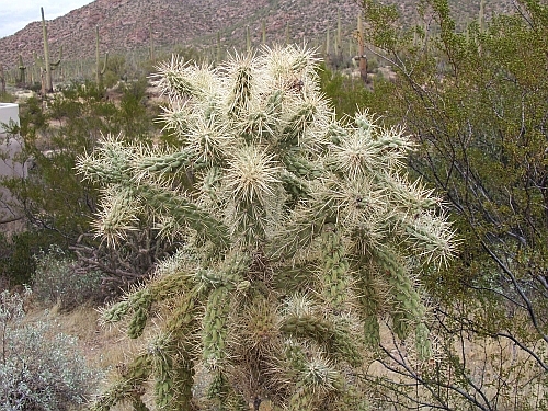 100_3914.jpg