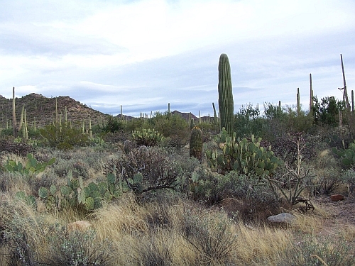 100_3956.jpg