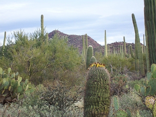 100_3957.jpg