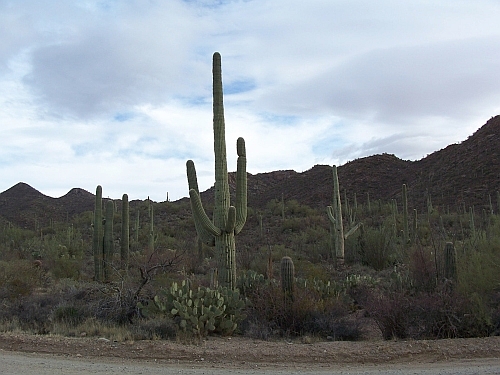 100_3967.jpg