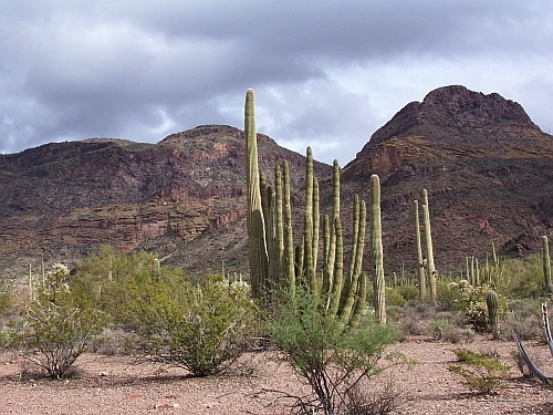 100_4032.jpg