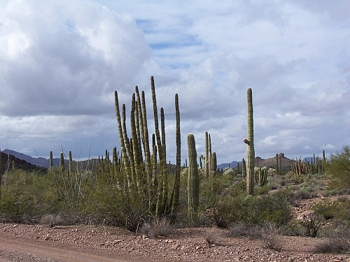 100_4033.jpg