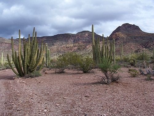 100_4036.jpg