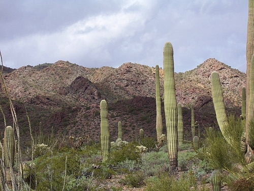 100_4038.jpg