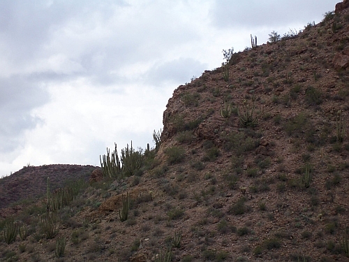 100_4054.jpg