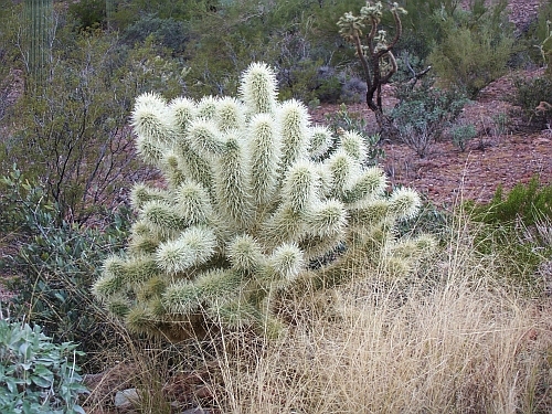 100_4057.jpg