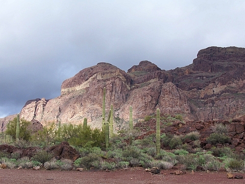 100_4068.jpg