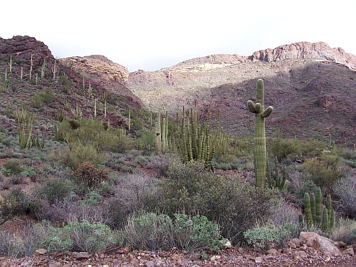 100_4070.jpg