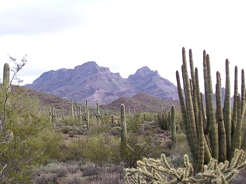 100_4073.jpg