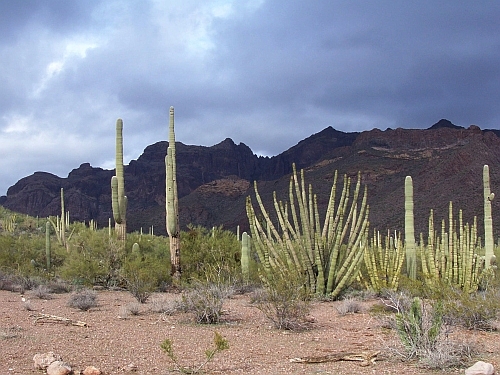100_4077.jpg