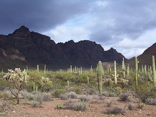 100_4078.jpg