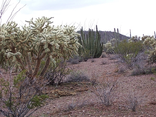 100_4086.jpg