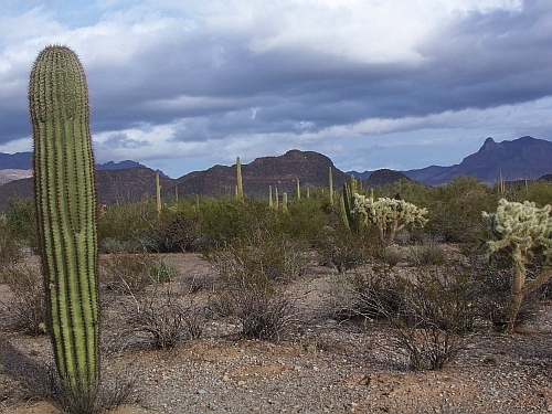 100_4098.jpg