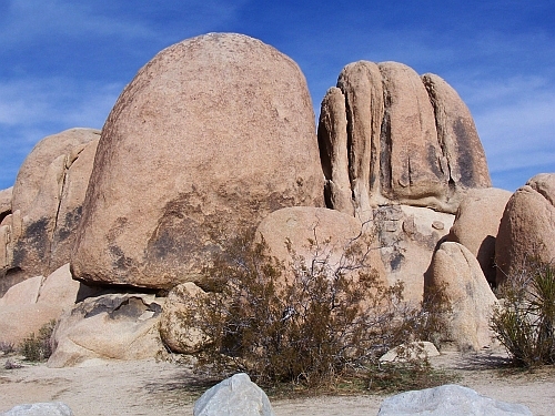 100_4227.jpg