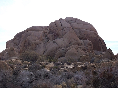100_4235.jpg