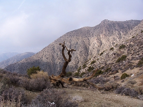 Keys View
