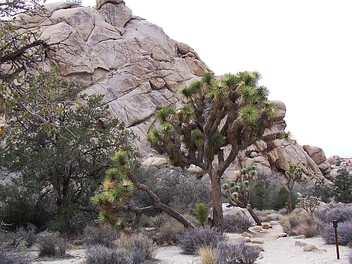Hidden Valley
