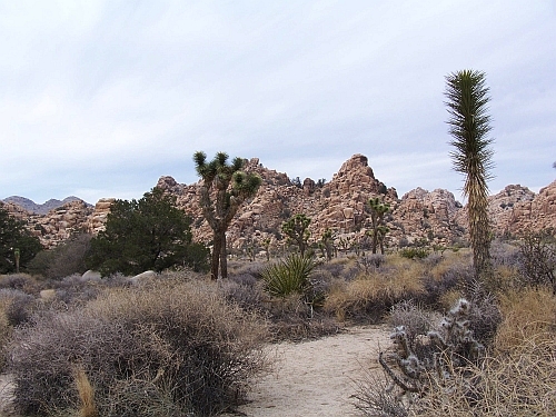 Hidden Valley

