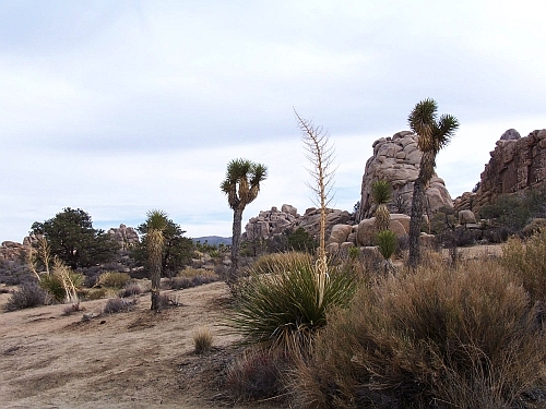 Hidden Valley
