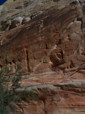 White Domes Trail
nach dem Slot Canyon
