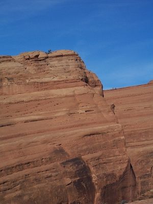 100_2481.jpg