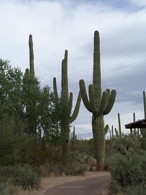 100_3949.jpg