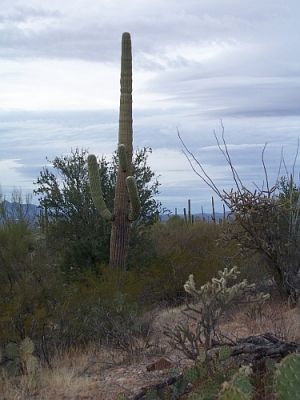100_3997.jpg