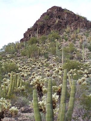 100_4093.jpg