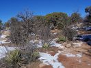 South Rim