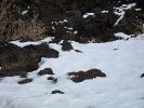 Sunset Crater Volcano NM