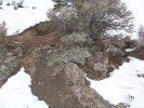 Sunset Crater Volcano NM