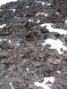 Sunset Crater Volcano NM