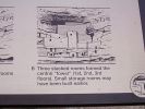 Montezuma Castle