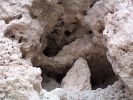 Montezuma Castle
