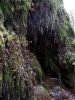 Tonto Natural Bridges