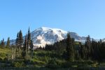 IMG_5597.JPG