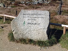 Brocken_Kuppe_05.jpg