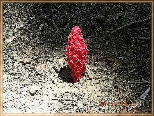 und was ist das?
