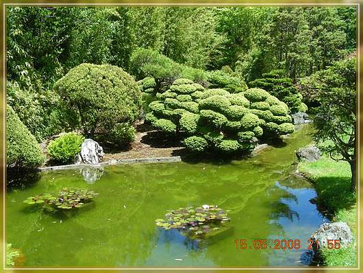 im Japanischen Garten
