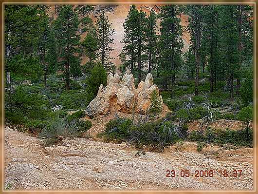 im Grund des Canyon

