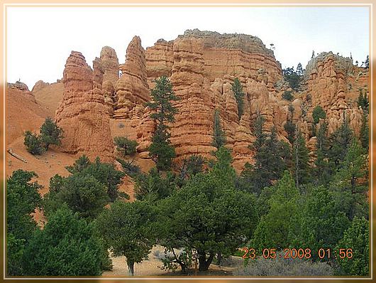 Red Canyon
