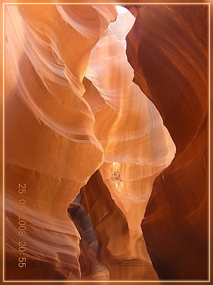 6 Antelope
