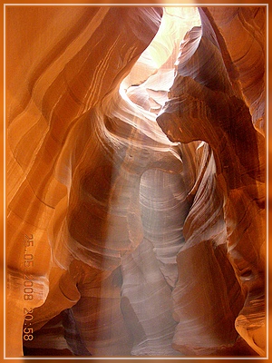 Antelope 4
